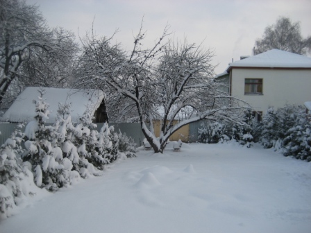 Zdjęcie do wpisu: Następny Etap budowy - podsufitka Drewniane