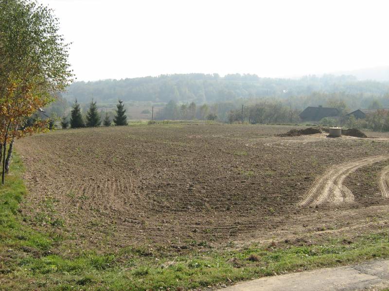 Zdjęcie do wpisu: Start