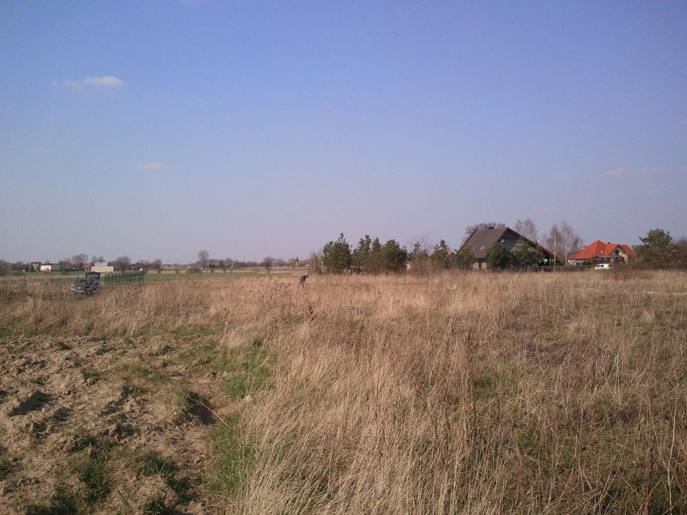 Zdjęcie do wpisu: działka kwiecień 2015