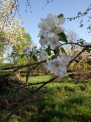 blog budowlany - avatar sielski_anatol