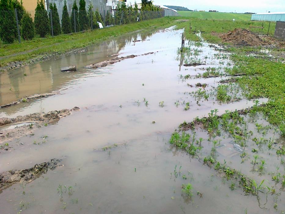 blog budowlany - mojabudowa.pl