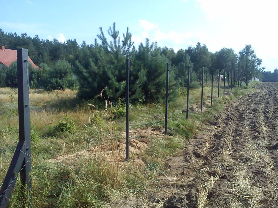 blog budowlany - mojabudowa.pl