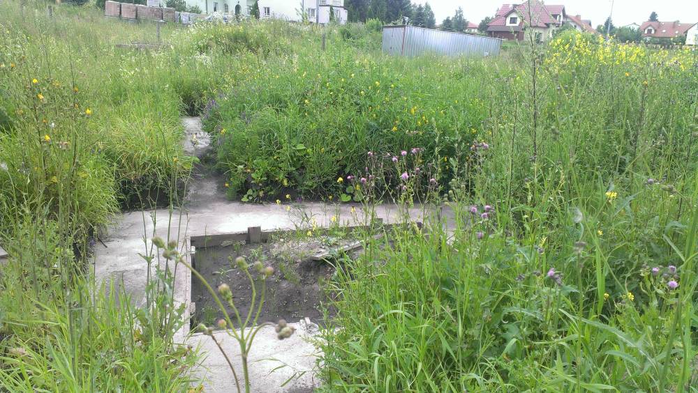 blog budowlany - mojabudowa.pl