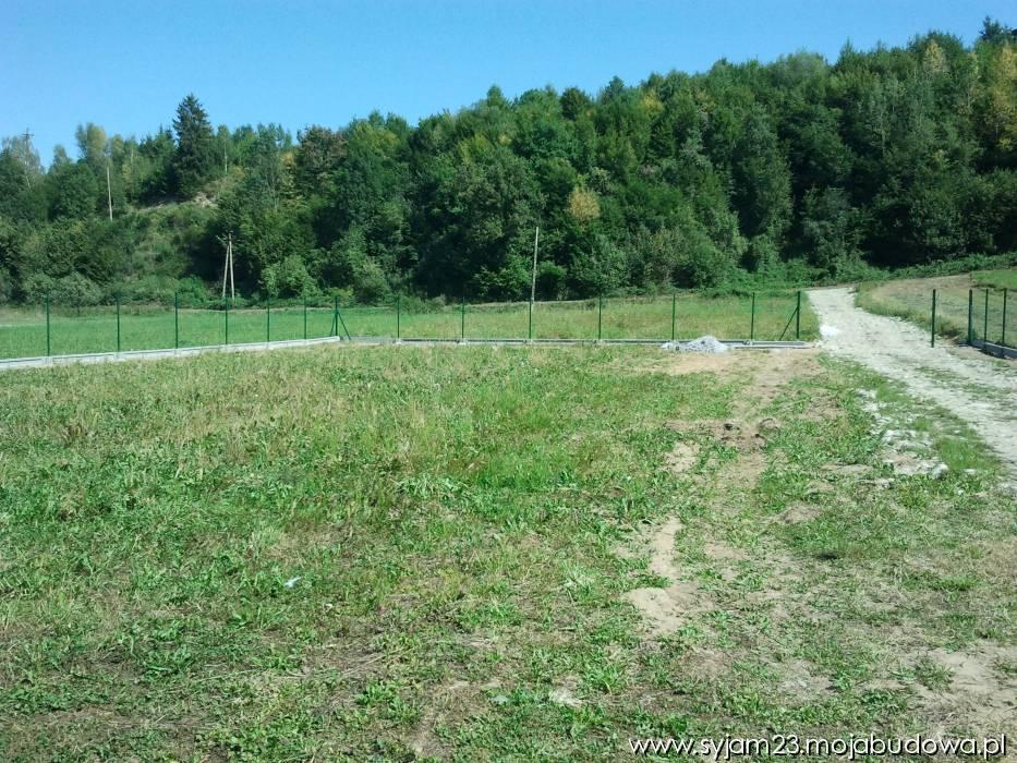 Zdjęcie do wpisu: Plot