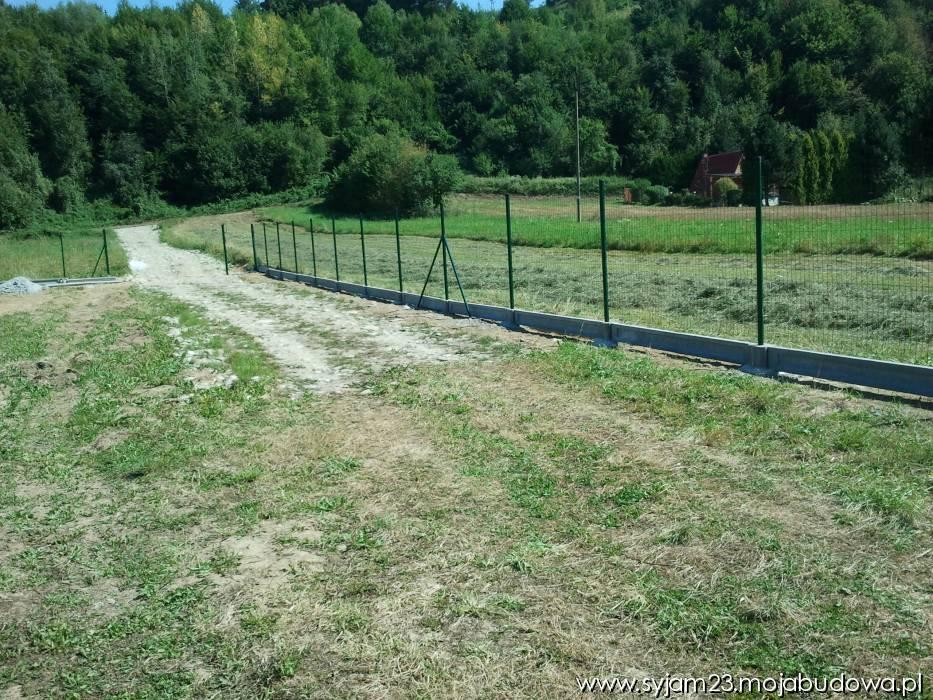 Zdjęcie do wpisu: Plot