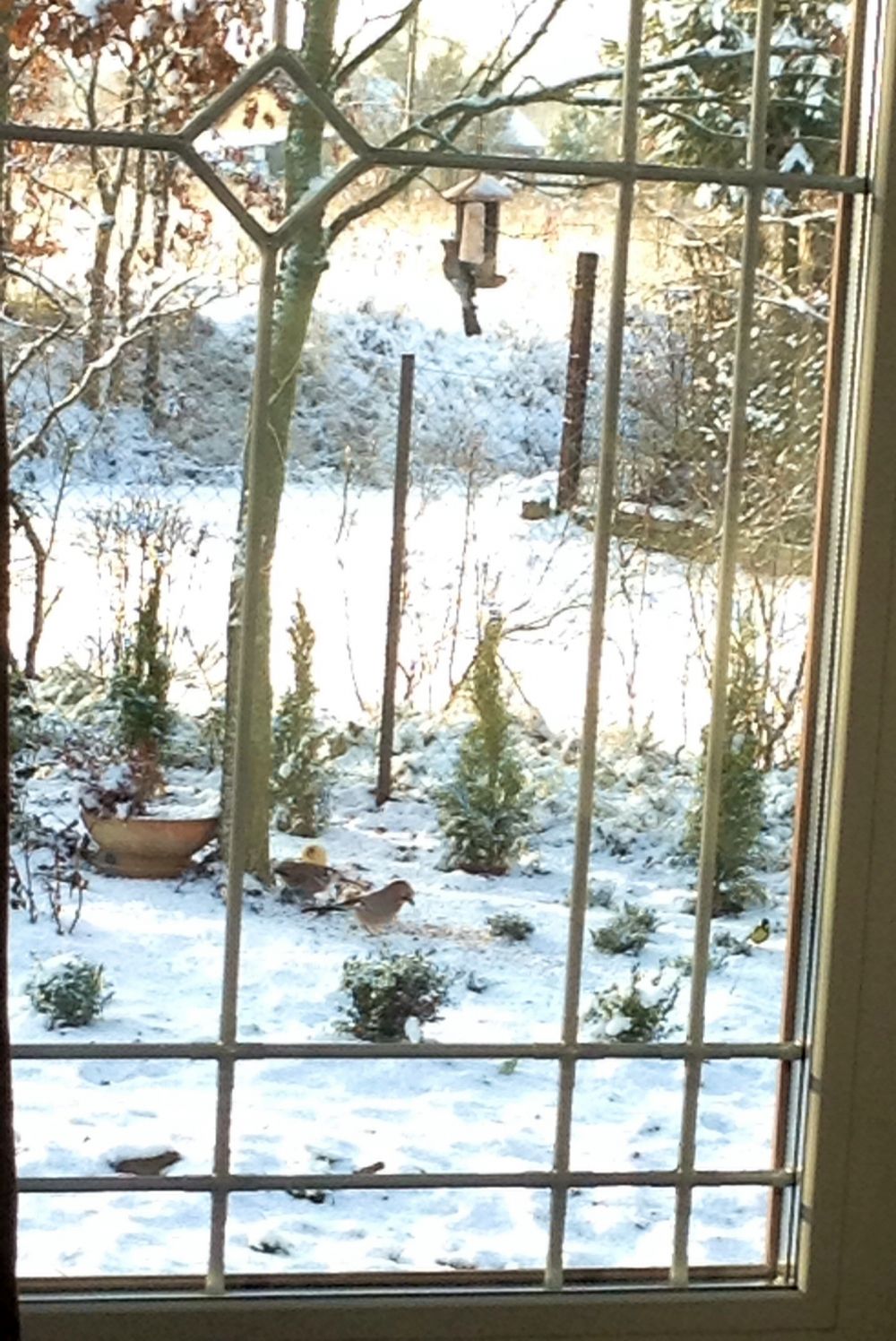 blog budowlany - mojabudowa.pl