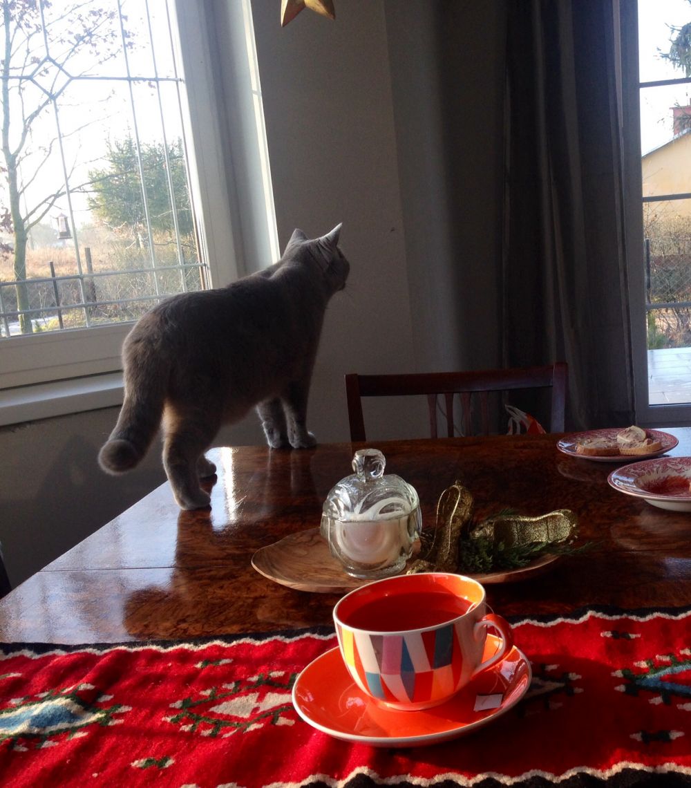 blog budowlany - mojabudowa.pl