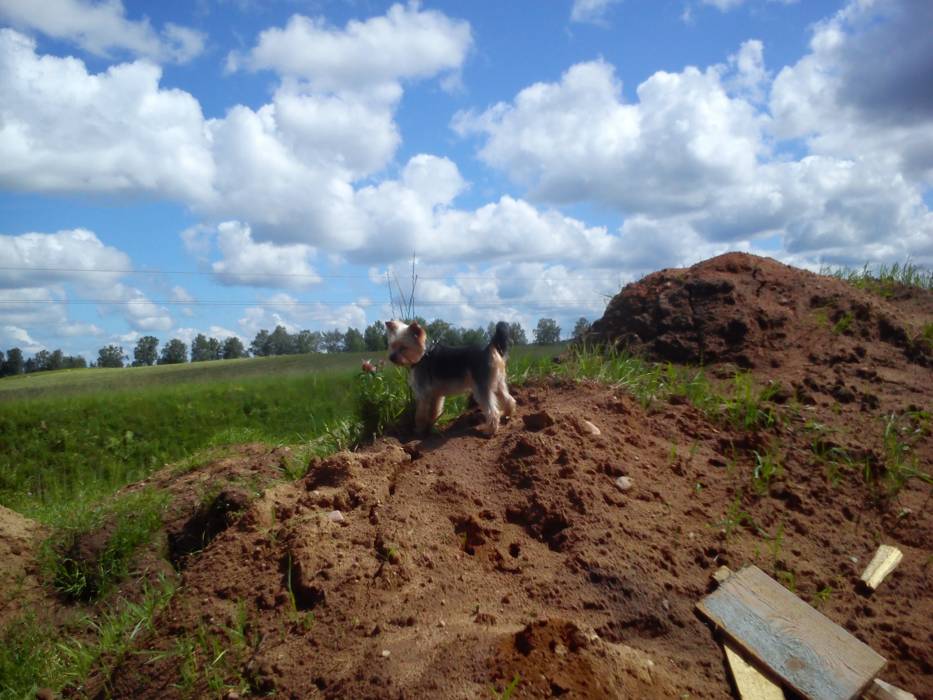 blog budowlany - mojabudowa.pl