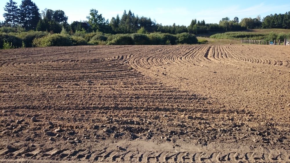 Zdjęcie do wpisu: DZIAŁKA