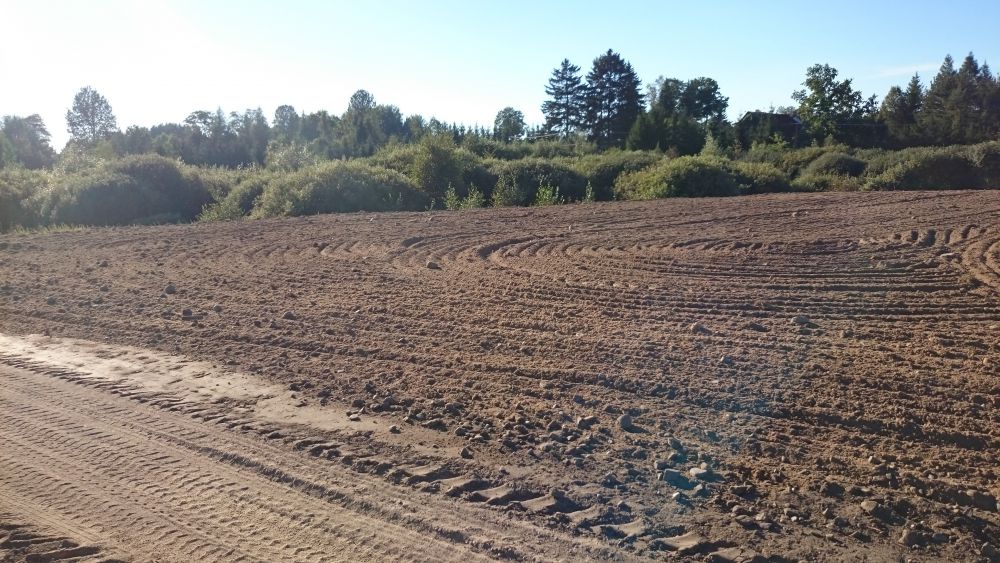 Zdjęcie do wpisu: DZIAŁKA