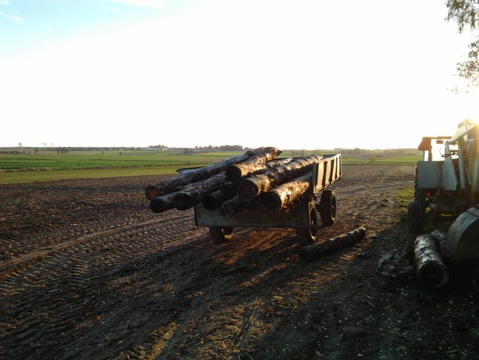 blog budowlany - mojabudowa.pl