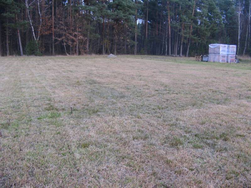 Zdjęcie do wpisu: Działeczka :)