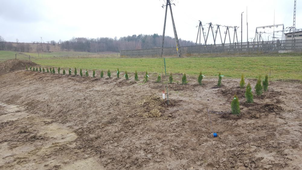 blog budowlany - mojabudowa.pl