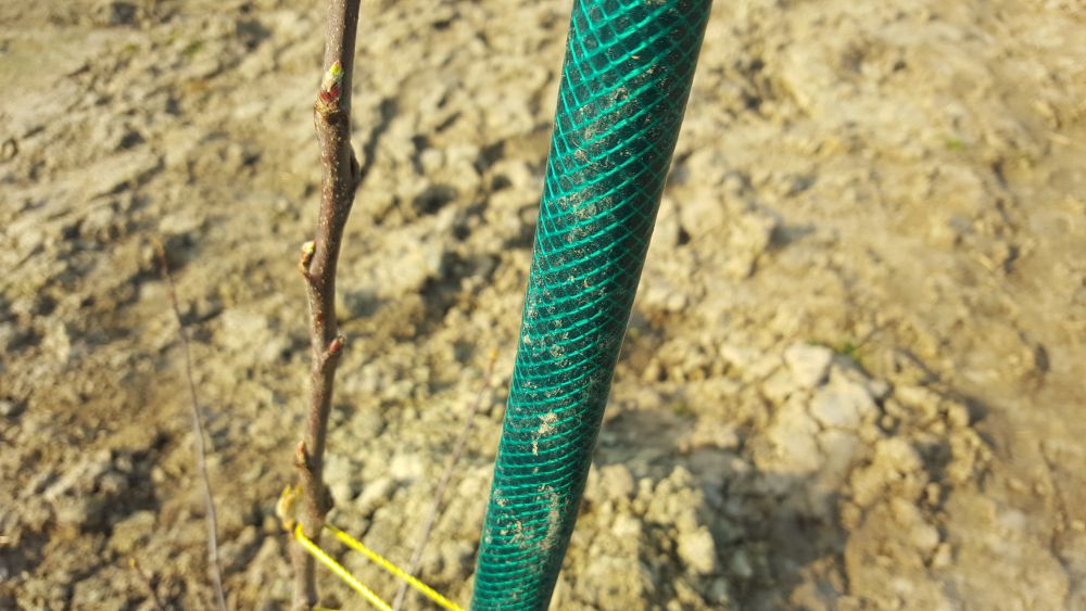 mojabudowa.pl - blog budowlany