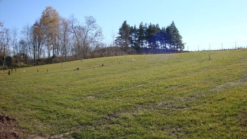 Zdjęcie do wpisu: jesień 2010r.