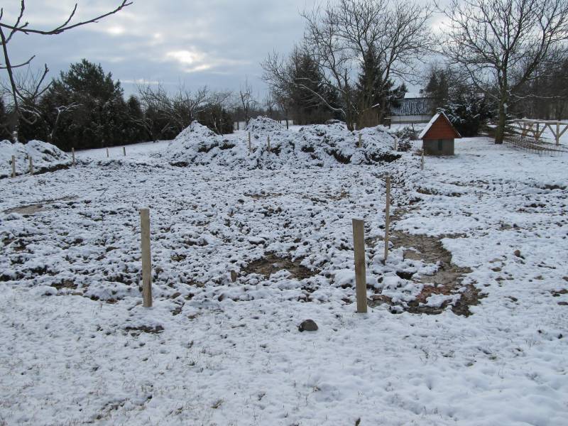 Zdjęcie do wpisu: Pierwsza łopata.