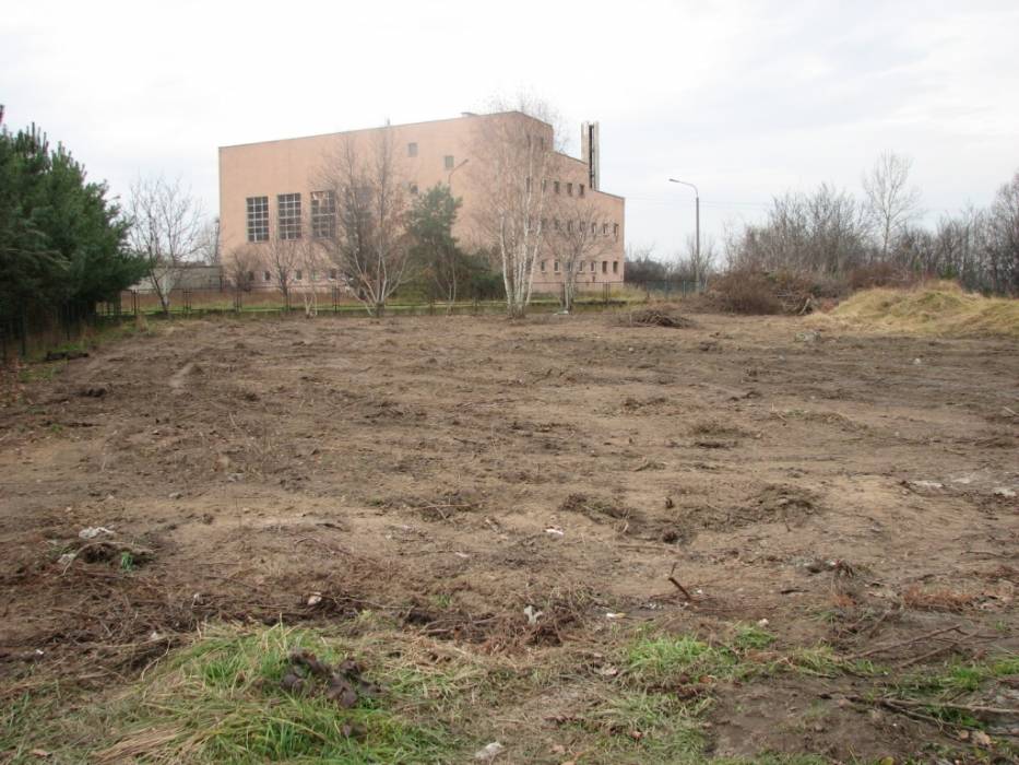 Zdjęcie do wpisu: A tak wygląda po porządkach (listopad)