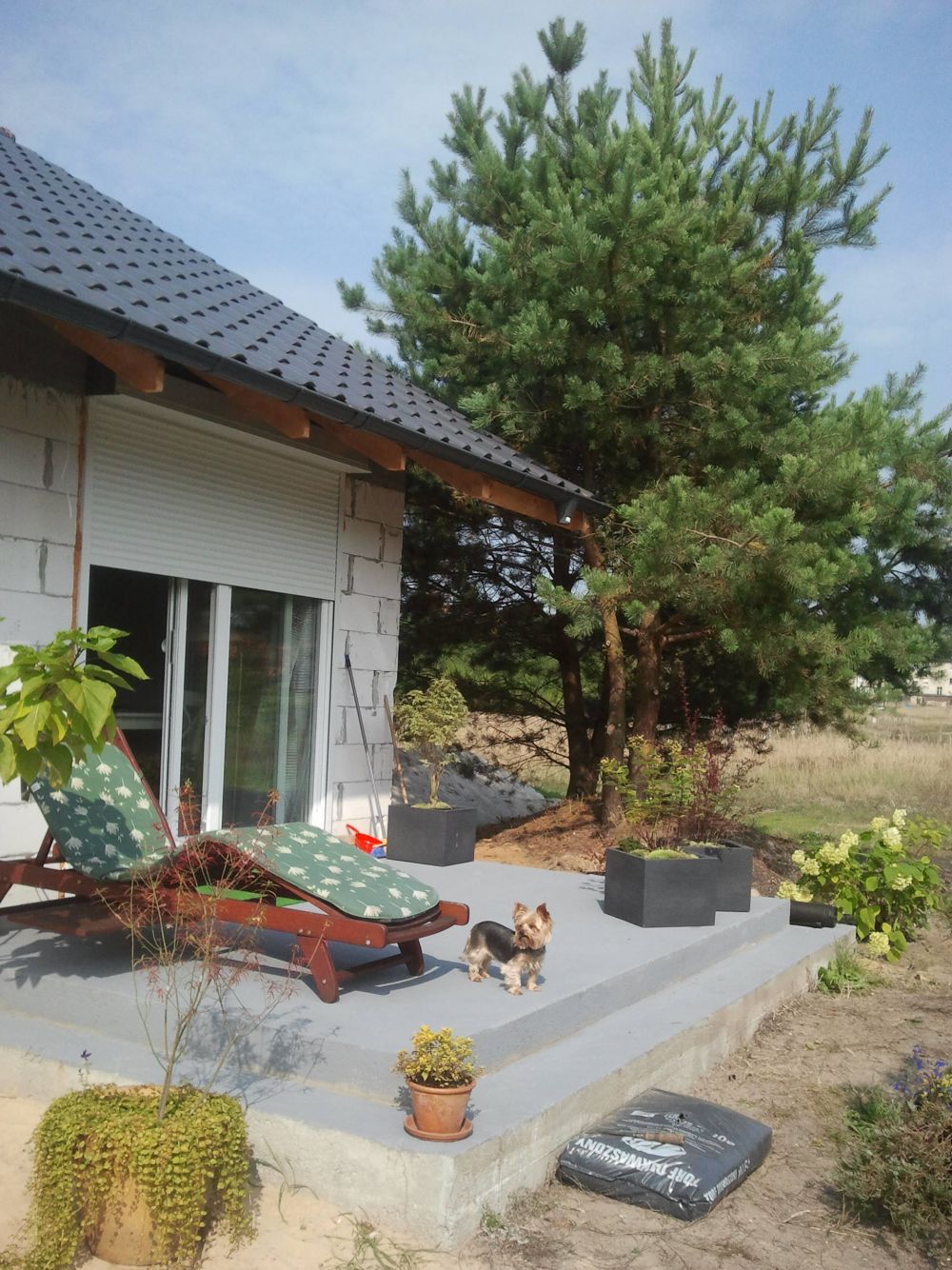 blog budowlany - mojabudowa.pl