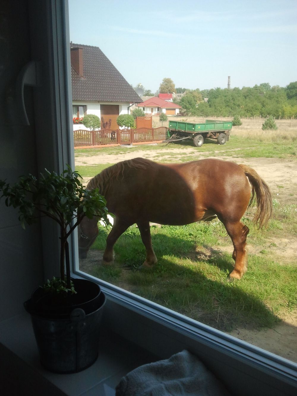 blog budowlany - mojabudowa.pl