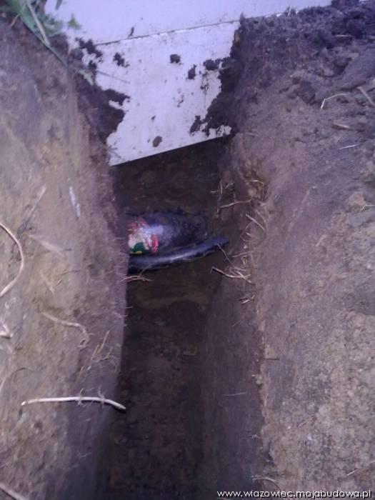 blog budowlany - mojabudowa.pl