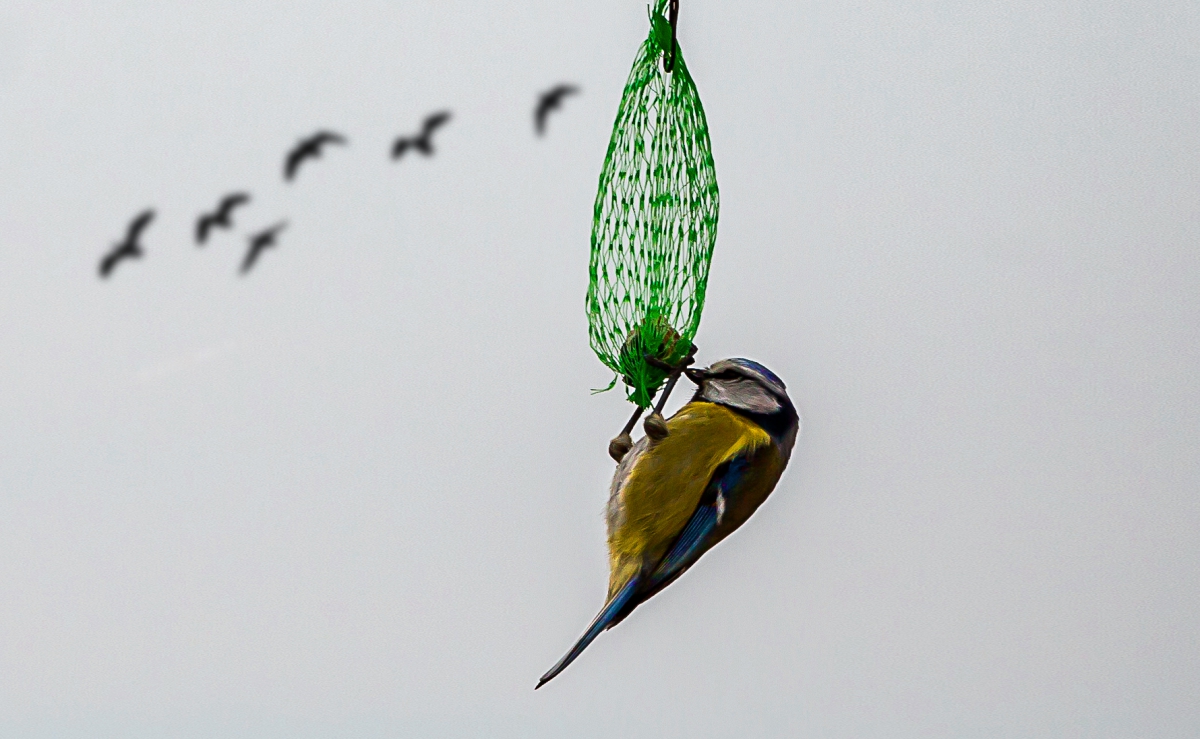 mojabudowa.pl - blog budowlany