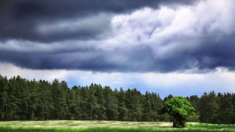 Zdjęcie do wpisu: niech sie mury pną do góry