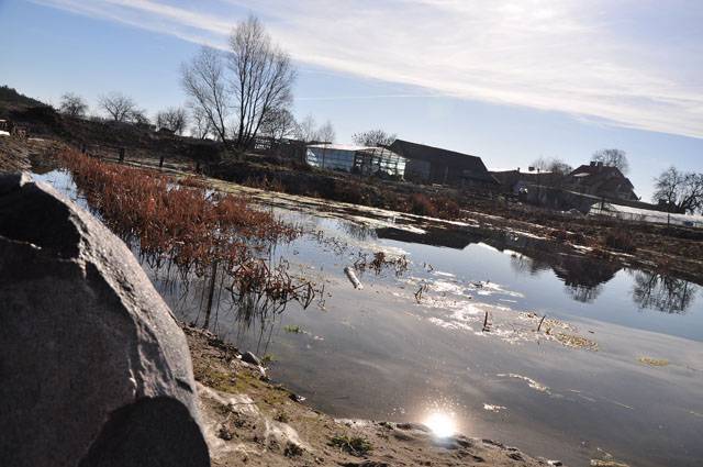 Zdjęcie do wpisu: No i wiosna 2009 cz.2