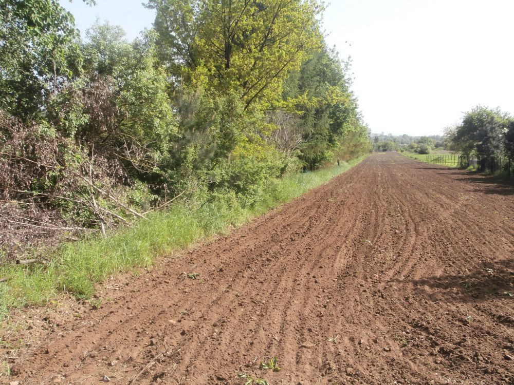 Zdjęcie do wpisu: Jak zacząć budowę i nie zwariować...