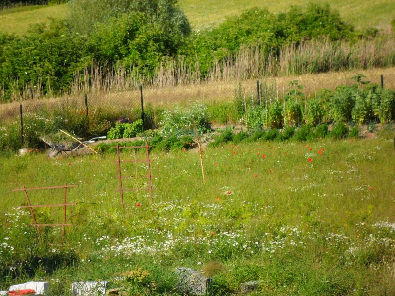 mojabudowa.pl - blog budowlany