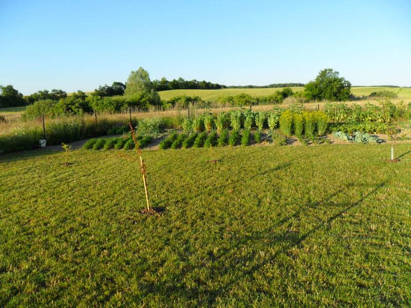 mojabudowa.pl - blog budowlany