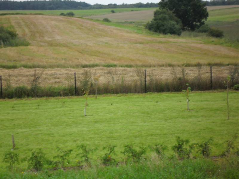 mojabudowa.pl - blog budowlany