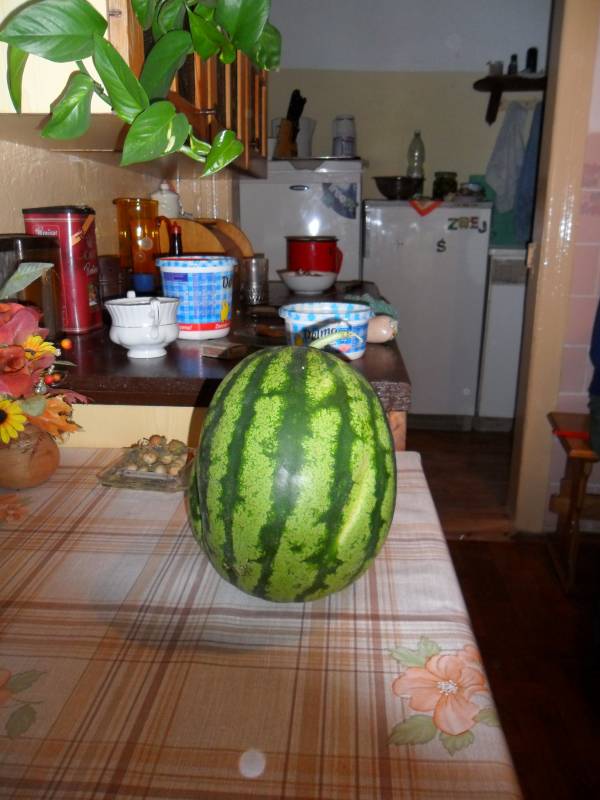 mojabudowa.pl - blog budowlany