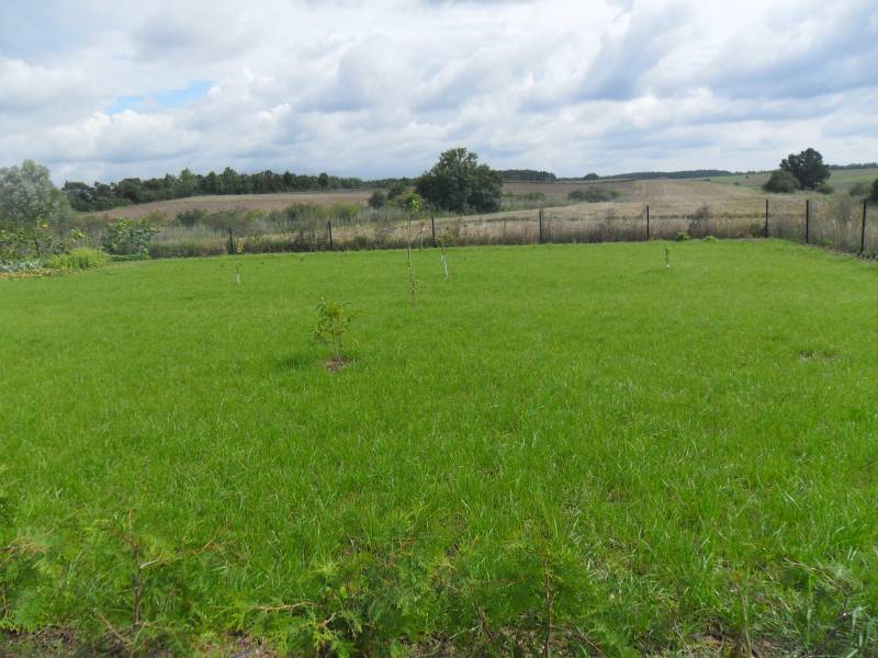 mojabudowa.pl - blog budowlany