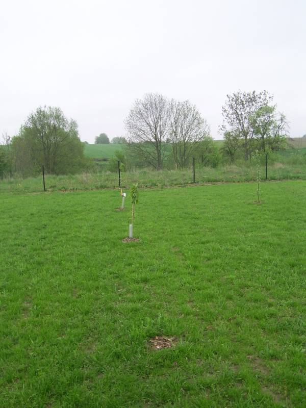 mojabudowa.pl - blog budowlany