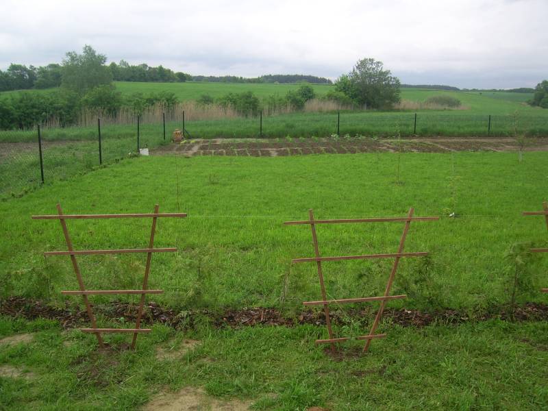 mojabudowa.pl - blog budowlany