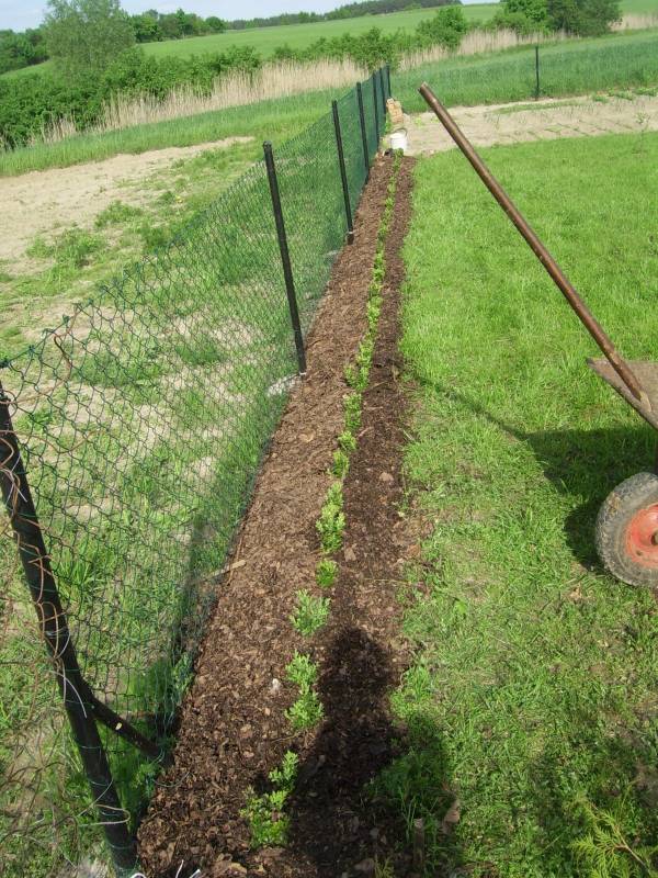 mojabudowa.pl - blog budowlany