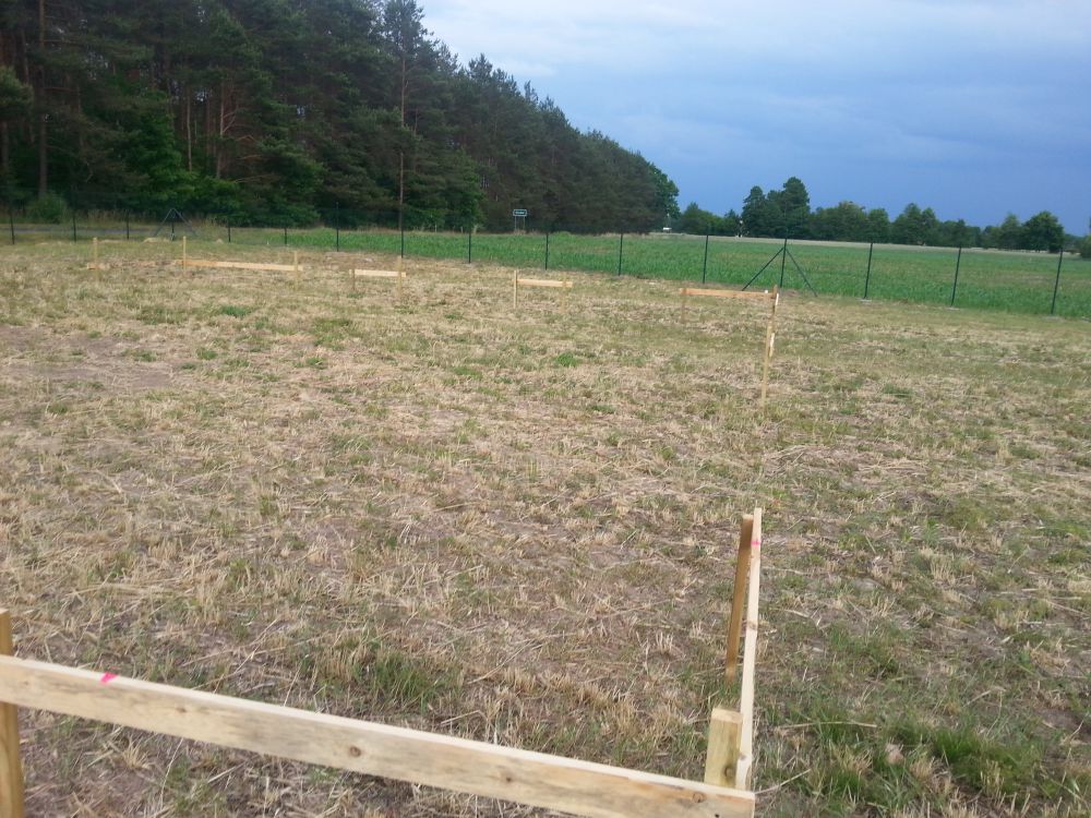 Zdjęcie do wpisu: 18.06.2015 - Dom wytyczony :)