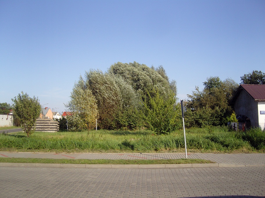 blog budowlany - mojabudowa.pl