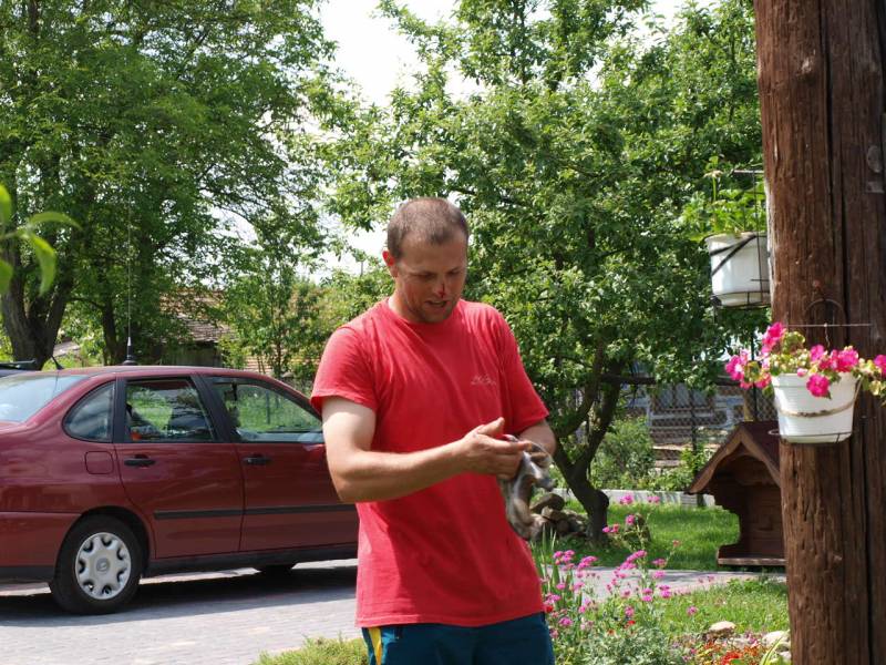 Zdjęcie do wpisu: i co dalej...