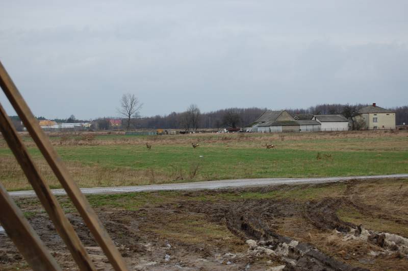 mojabudowa.pl - blog budowlany