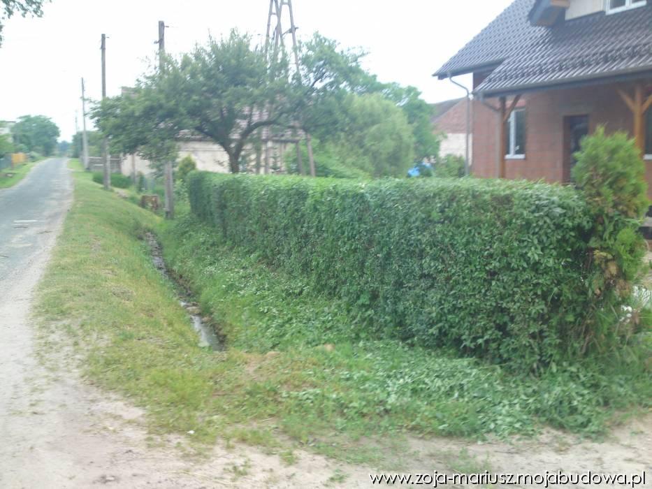 blog budowlany - mojabudowa.pl