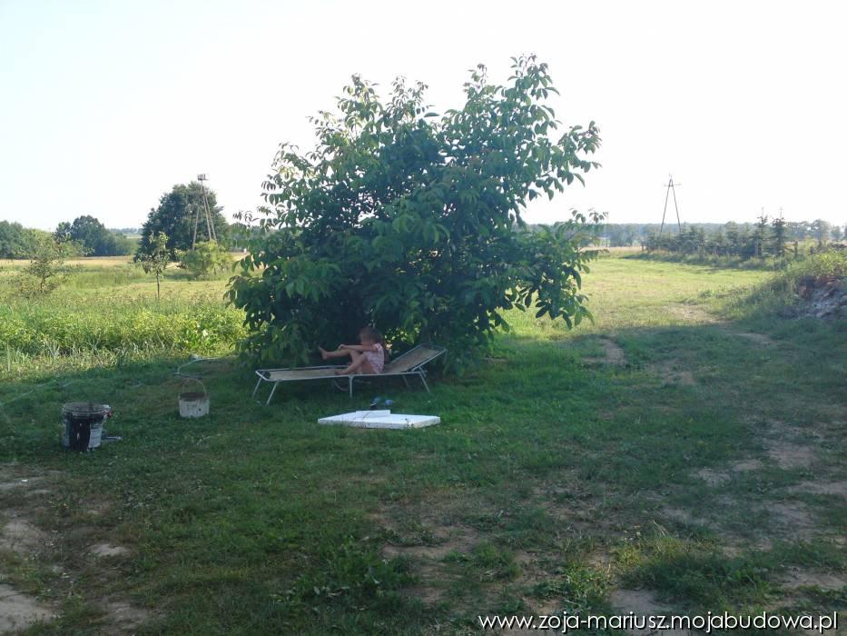 blog budowlany - mojabudowa.pl