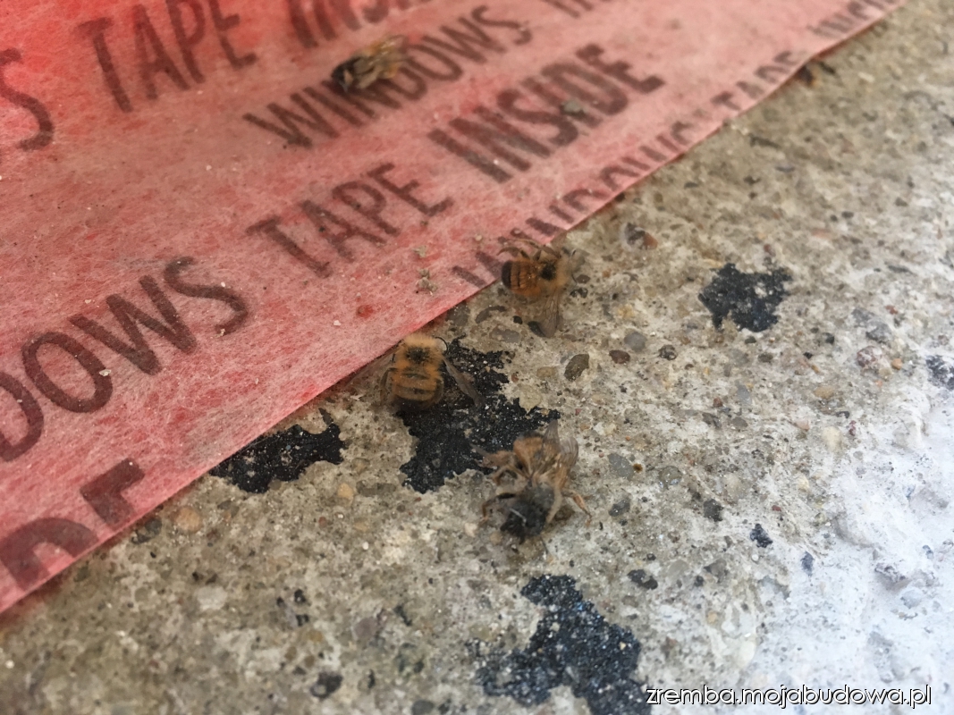 mojabudowa.pl - blog budowlany